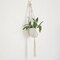 2 Ivory Cotton Ropes Macrame Plant Hanger Decorative Indoor POT HOLDERS